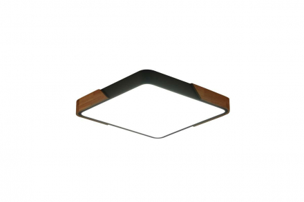Потолочный светильник Zortes ALBERRO ZRS.01288.60
