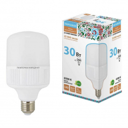 Лампа светодиодная TDM Electric Народная E27 30W 6500K матовая SQ0340-1578