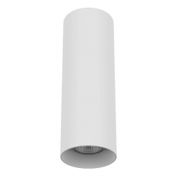 Потолочный светильник Lightstar Rullo 216496