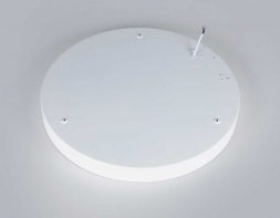 Потолочный светодиодный светильник Ambrella light Orbital Design FZ1401