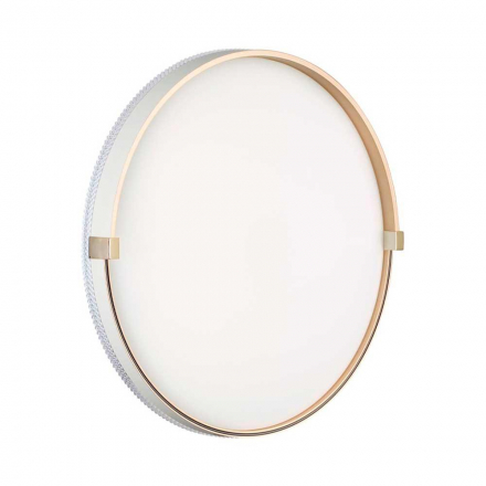 Настенно-потолочный светодиодный светильник Sonex Pale Olidi White 7646/EL