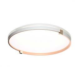 Настенно-потолочный светодиодный светильник Sonex Pale Olidi White 7646/EL