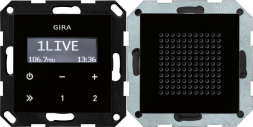 Радиоприемник RDS Gira System 55 с громкоговорителем черное стекло 228005