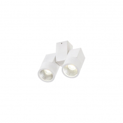 Потолочный светодиодный светильник Citilux Дубль CL556100