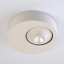 Потолочный светодиодный светильник De Markt Круз 637016501