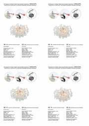 Потолочная люстра Vitaluce V2832-8/7PL