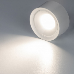 Потолочный светодиодный светильник Citilux Rover CL743060N