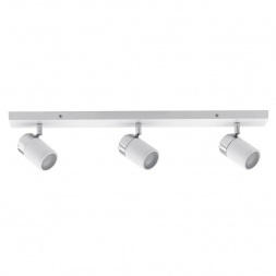 Спот Paulmann Zyli 66713