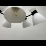 Потолочная люстра Lumion Comfi Wilma 4534/3C