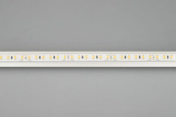 Светодиодная влагозащищенная лента Arlight 16,8W/m 120LED/m 2835SMD холодный белый 5M 029391(2)