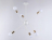 Подвесная люстра Ambrella light Traditional Loft TR80432
