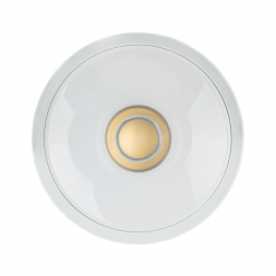 Потолочный светодиодный светильник Citilux Rover CL743150N