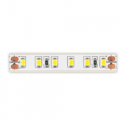 Светодиодная лента ST Luce ST1001.310.65