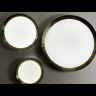 Потолочный светодиодный светильник Odeon Light Walli Lunor 4948/60CL