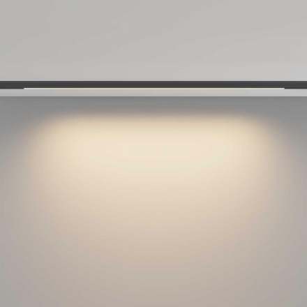 Трековый светильник Maytoni Technical Basis TR190-1-10W3K-B