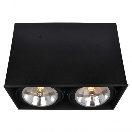 Потолочный светильник Arte Lamp Cardani A5936PL-2BK