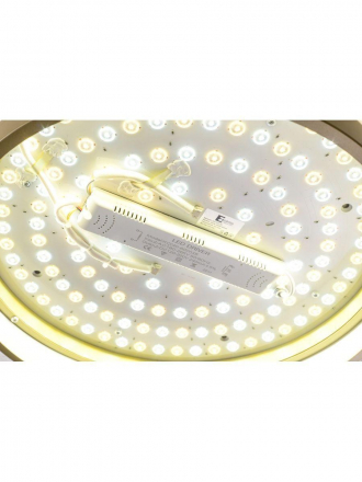 Потолочный светодиодный светильник Zortes Gerda ZRS.1097.50
