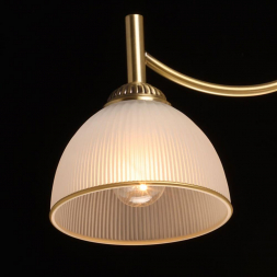 Потолочная люстра MW-Light Олимп 8 318015503
