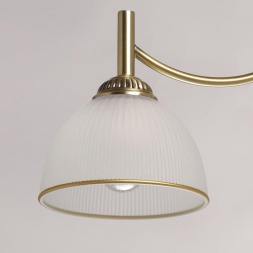 Потолочная люстра MW-Light Олимп 8 318015503