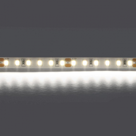 Светодиодная лента Lightstar 12W/m 120LED/m холодный белый 5M 420805