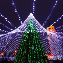 Уличная светодиодная гирлянда Ardecoled нить 230V зеленый ARD-String-Classic-10000-Black-100Led-Std Green 025800