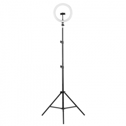 Торшер Camelion KD-810F C02 13010