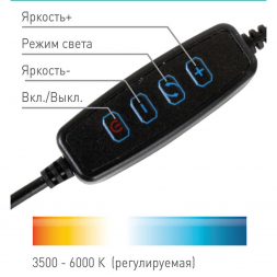 Торшер Camelion KD-810F C02 13010