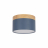 Накладной светодиодный светильник Loft IT Grape 10162 Blue