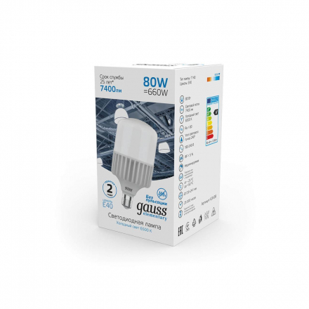Лампа светодиодная Gauss E40 80W 6500K матовая 63438
