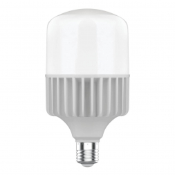 Лампа светодиодная Gauss E40 80W 6500K матовая 63438