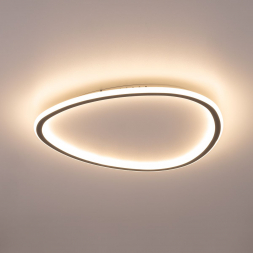 Потолочный светодиодный светильник Citilux Trio CL215B251E