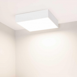 Потолочный светодиодный светильник Arlight IM-Quadro-Emergency-3H-S250x250-28W Day4000 041005