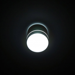 Потолочный светодиодный светильник Citilux Борн CL745020N