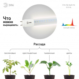 Лампа светодиодная для растений ЭРА G13 9W 1200K прозрачная Fito-9W-Ra90-Т8-G13-NL Б0042988