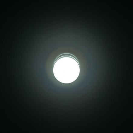 Потолочный светодиодный светильник Citilux Борн CL745021N