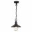 Уличный подвесной светильник Odeon Light Nature Campa 4965/1