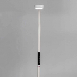 Торшер Citilux Марк CL804020