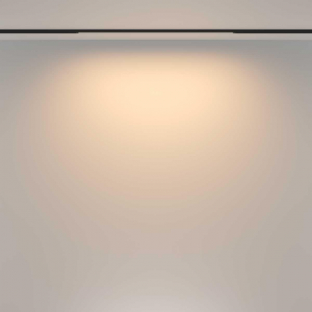 Трековый светильник Maytoni Technical TR173-1-16WTW-B