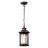 Уличный подвесной светильник Odeon Light Nature Mavret 4961/1