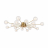 Потолочная люстра Freya Celebrity FR5242CL-16BS1