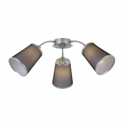 Потолочная люстра Evoluce Maleonte SLE103002-03