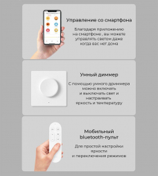 Потолочный светодиодный светильник Yeelight Ceiling Light C2001C550 -550мм YLXD037