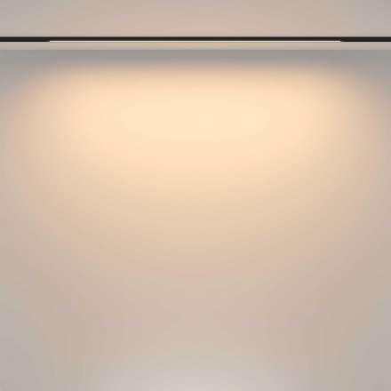 Трековый светильник Maytoni Technical TR173-1-24WTW-B